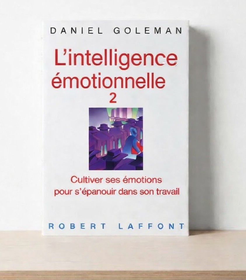 Image du livre l'intelligence émotionnelle 2